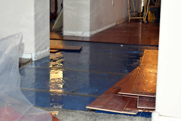 Professional Burst Pipe Cleanup technician working in Raywood, TX
